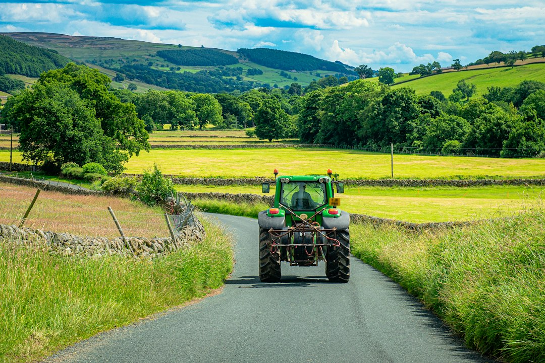 Rural county road